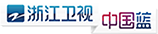 浙江卫视-党建墙与背景墙服务